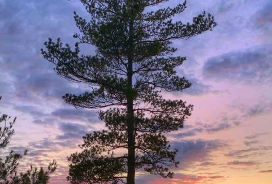 重慶智能家居加盟：相比傳統(tǒng)家居，智能家居的優(yōu)勢是什么？