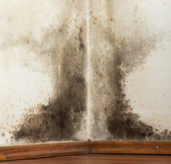 江南（蘇州）梅雨季節(jié)，家具霉斑處理小技巧，建議收藏哦！