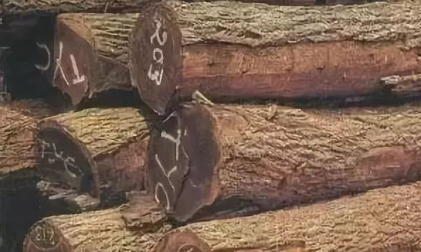 人造環(huán)保板材：實(shí)木家具的主流材種有哪些？