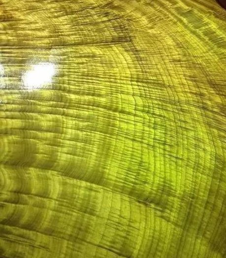 金絲楠烏木：如何區(qū)別金絲楠、黃心楠、黃金樟