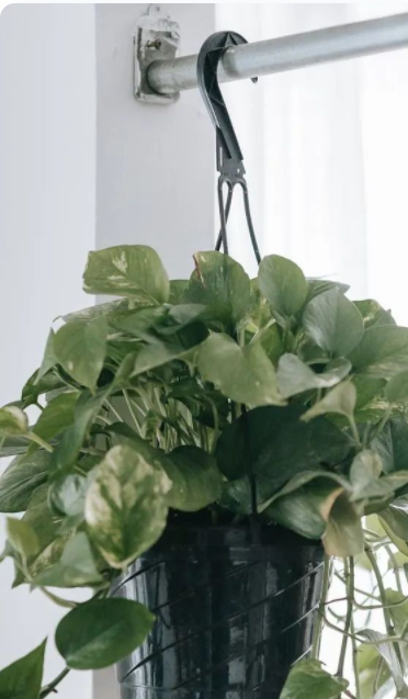 室內(nèi)設計專業(yè)培訓;消費者對環(huán)保健康室內(nèi)設計、家具擺設和裝飾的需求，已成一股推動力