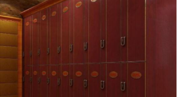 浴室全塑更衣柜：浴室更衣柜有什么材質(zhì)？浴室更衣柜電子感應(yīng)鎖好不好？