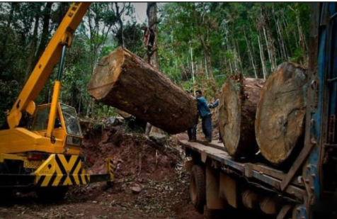 【新中式家具定制】中式家具選購、陳設、保養(yǎng)全攻略！