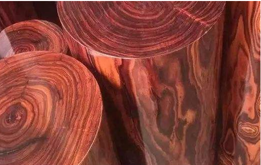 【黃花梨木家具】如何辨別海南黃花梨和越南黃花梨家具？